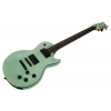 Электрогитара Harley Benton Agufish STD Signature SFG