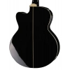 Бас-гітара Harley Benton B-30BK-FL Acoustic Bass Series