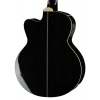 Бас-гітара Harley Benton B-35BK-FL Acoustic Bass Series