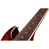 Электрогитара Harley Benton CST-24 Paradise Flame