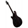 Електрогітара Harley Benton CST-24T Black Flame