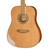 Акустична гітара Harley Benton D-120NT