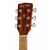 Акустична гітара Harley Benton D-120NT