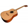 Акустична гітара Harley Benton D-120NT