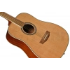 Акустична гітара Harley Benton D-120NT
