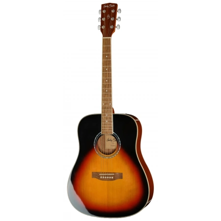 Акустична гітара Harley Benton D-120VS
