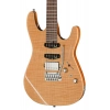 Електрогітара Harley Benton Fusion-IV HSS RW FNT