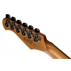 Електрогітара Harley Benton Fusion-IV HSS RW RM