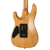 Електрогітара Harley Benton Fusion-IV HSS RW SGD