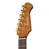 Електрогітара Harley Benton Fusion-IV HSS RW SGD