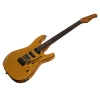 Електрогітара Harley Benton Fusion-IV HSS RW SGD