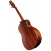 Бас-гітара Harley Benton GS-Travel-E Bass Mahogany