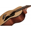Бас-гітара Harley Benton GS-Travel-E Bass Spruce