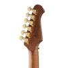Электрогитара Harley Benton Guitar MAX Fusion Signature EF Электрогитара Harley Benton Guitar MAX Fusion Signature EF