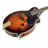 Мандолина Harley Benton HBMA-100E- VS