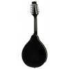 Мандолина Harley Benton HBMA-50 Mandoline BK