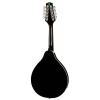 Мандолина Harley Benton HBMA-50E Mandoline BK