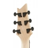 Електрогітара Harley Benton R-456FR BK Progressive Series