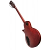 Електрогітара Harley Benton SC-Custom III Satin Paradise