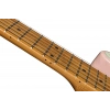 Электрогитара Harley Benton TE-62CC SP