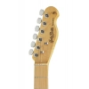 Електрогітара Harley Benton TE-70 Black Paisley