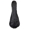Укулеле Harley Benton UK-12 Stain Ash NT