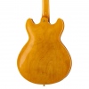 Harley Benton HB-35Plus Metallic Plum