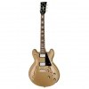 Електрогітара Harley Benton HB-35Plus Shoreline Gold
