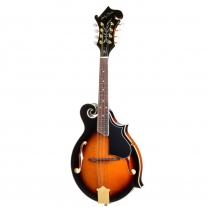 Harley Benton HBMA-100 VS