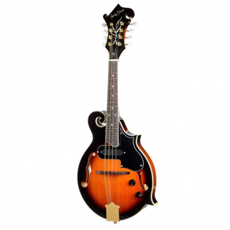 Harley Benton HBMA-100E- VS