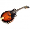 Harley Benton HBMA-100E- VS