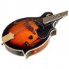 Harley Benton HBMA-100E- VS