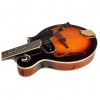 Harley Benton HBMA-100E- VS