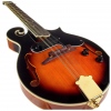 Harley Benton HBMA-100E- VS