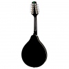 Harley Benton HBMA-50E Mandoline VS