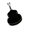 Електрогітара Höfner Icon Violin Guitar BK