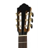 Классическая гитара Höfner Meister Series HM65-F-CE