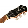 Електрогітара Höfner Verythin CT Deluxe Special SB