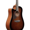 Акустична гітара Ibanez AAD51LCE-DVS