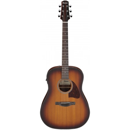 Акустическая гитара Ibanez AAD54E-OMH
