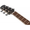 Акустична гітара Ibanez AAM370M1CE-TPA