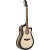 Акустична гітара Ibanez AAM370M1CE-TPA