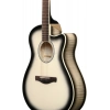 Акустична гітара Ibanez AAM370M1CE-TPA