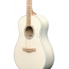Акустическая гитара Ibanez AAM370M2E-AIB