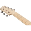 Акустична гітара Ibanez AAM370M2E-APF