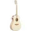 Акустична гітара Ibanez AAM370M2E-APF