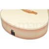 Акустична гітара Ibanez AAM370M2E-APF