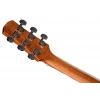 Акустическая гитара Ibanez AAM50CE-OPN