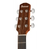 Акустическая гитара Ibanez AAM50CE-OPN