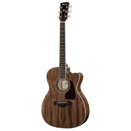 Акустична гітара Ibanez AC340CE-OPN Artwood